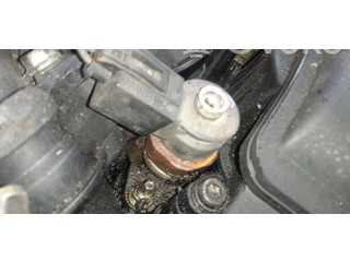 Форсунка 0445110216, 7793836 BMW X3 E83