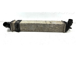 Интеркулер  144960001RG, 144960001R   Renault Laguna III 2.0