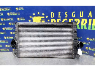 Интеркулер     Seat Alhambra (Mk1) 