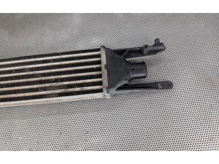 Интеркулер     Fiat Punto Evo 