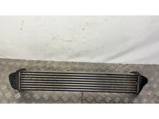 Интеркулер 52014780AB, AA1271004733 Jeep Cherokee 2.2