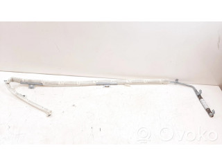 Боковая подушка безопасности 1Z9880741B Skoda Octavia Mk2 (1Z)