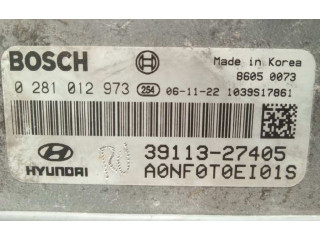 Блок управления двигателя 3911327405, 0281012973   Hyundai Sonata