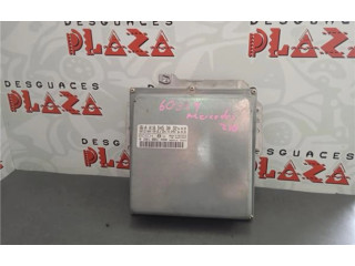 Блок управления A0185453032, 0281001494   Mercedes-Benz E AMG W210