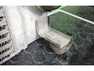 Интеркулер  P3578002   Nissan X-Trail T31 