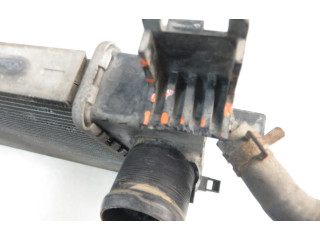 Радиатор охлаждающей жидкости     214100078R    Dacia Duster 