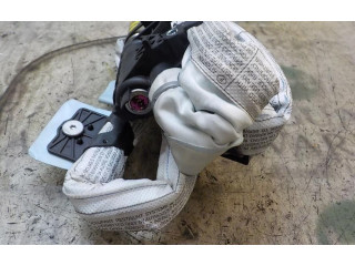 Подушка безопасности двери 3C0880741E, 3C0880741   Volkswagen Passat Alltrack