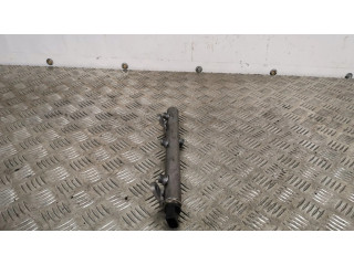 Vstřikovací lišta A6420702695001, A0061533328 Chrysler 300 - 300C pro naftový motor 3.0