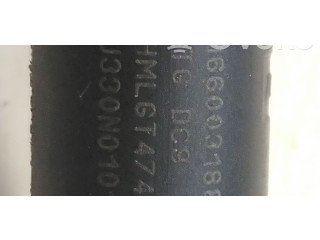 Форсунка 166003188R Dacia Sandero B4D411