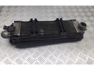 Интеркулер 279714600102 Tata Indica Vista II