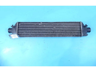 Интеркулер 857391, IMPRK1184559 Fiat Linea