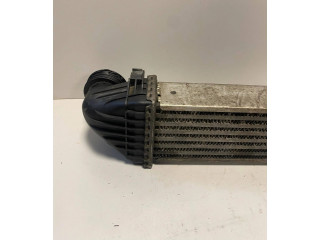 Радиатор интеркулера B1025 Mercedes-Benz A W169