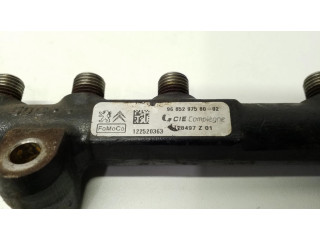 Vstřikovací lišta 9685297580, 968529758002 Citroen Berlingo pro naftový motor 1.6