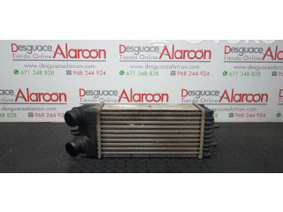 Интеркулер  0384G5, E256083   Peugeot Partner 