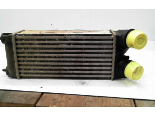 Интеркулер 00000384L4 Citroen C4 I