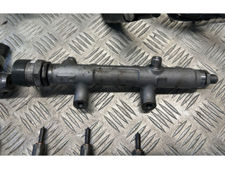 Комплект системы впрыска топлива 059130755CA, 059130089BS Audi A5 Sportback 8TA Cdu