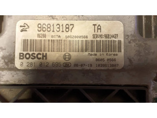 Řídící jednotka 96813187, 5062000566 Chevrolet Captiva 2008