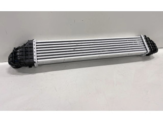 Интеркулер  31338118, 31338118   Volvo S40 