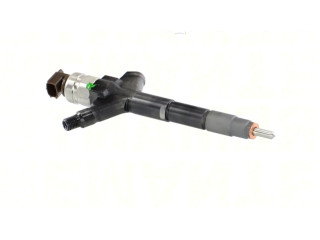 Vstřikovač 295050030, 295050030 Nissan Murano Z51