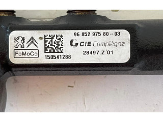 Топливная рампа 968529758003, 8H01   Citroen C3  
