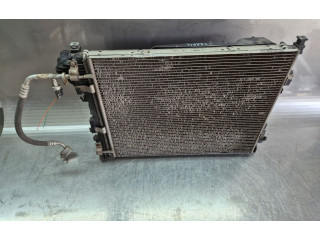 Вентилятор радиатора         Renault Trafic II (X83) 