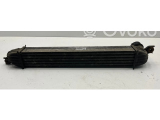 Интеркулер     Mini Cooper Countryman R60 