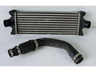 Интеркулер CC119L440BD, 9L440 Ford Transit Custom