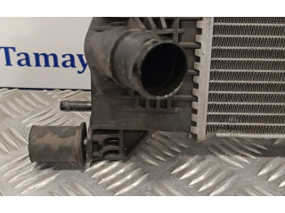 Панель приборов 214100002R, RA1562   Renault Megane III       