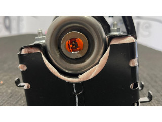 Подушка безопасности пассажира 2482176AB, 556101296 Tesla Model S