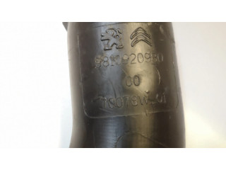 Трубка (трубки)/ шланг (шланги)