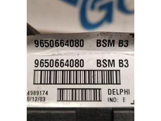 Блок предохранителей 9650664080, 9650664080   Peugeot 406    