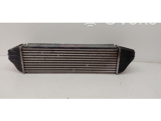 Интеркулер  2002039   BMW X3 E83 