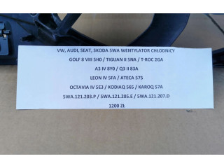 Вентилятор радиатора 5WA121203P Volkswagen Golf VIII