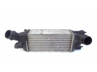 Интеркулер  IA1095, 874823NK   Peugeot 407 2.0