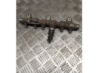 Vstřikovací lišta 0445214012 Fiat Multipla