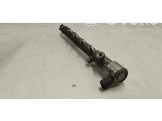 Топливная рампа A6510700495, A6510700700   Mercedes-Benz E W212  