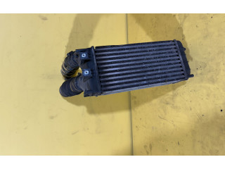 Интеркулер     Citroen C4 II 