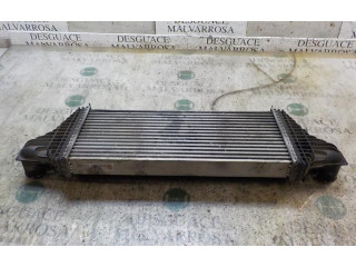 Интеркулер  A2515000000   Mercedes-Benz R W251 