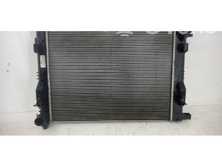 Боковая подушка безопасности 214107326R   Dacia Sandero