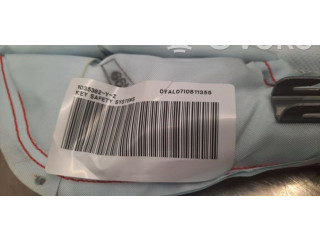 Боковая подушка безопасности 6V0880741E Skoda Fabia Mk3 (NJ)