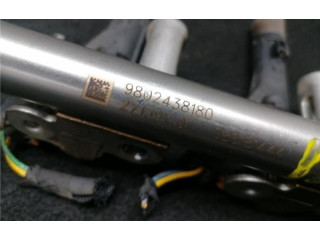 Топливная рампа 9802438180, 9810335380 Citroen C4 Aircross