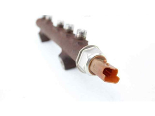 Топливная рампа 9824940080, 9676643880   Citroen C4 II Picasso  