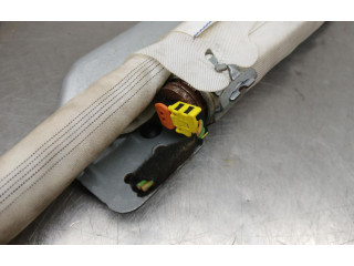 Боковая подушка безопасности 13250502, LBRC2900546 Opel Meriva B