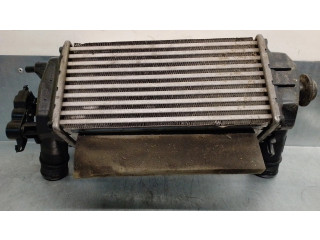 Интеркулер H1BG6K775AC Ford Fiesta 1.0