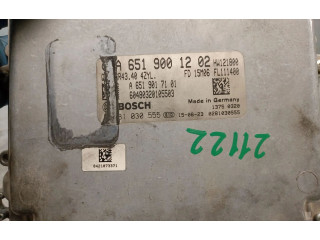 Řídící jednotka A6519001202, 0281030555BOSCH Mercedes-Benz ML AMG W164 2012