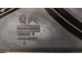 Вентилятор радиатора     3000257, 0099018100948    Citroen C5 2.0