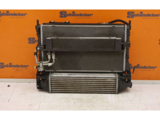 Комплект радиатора    Ford Mustang VI