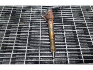 Жиклер (жиклеры) (форсунка (форсунки) 25837, 166006212R Dacia Duster