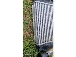 Интеркулер     Dacia Sandero III 