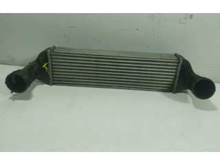 Интеркулер     BMW X3 E83 